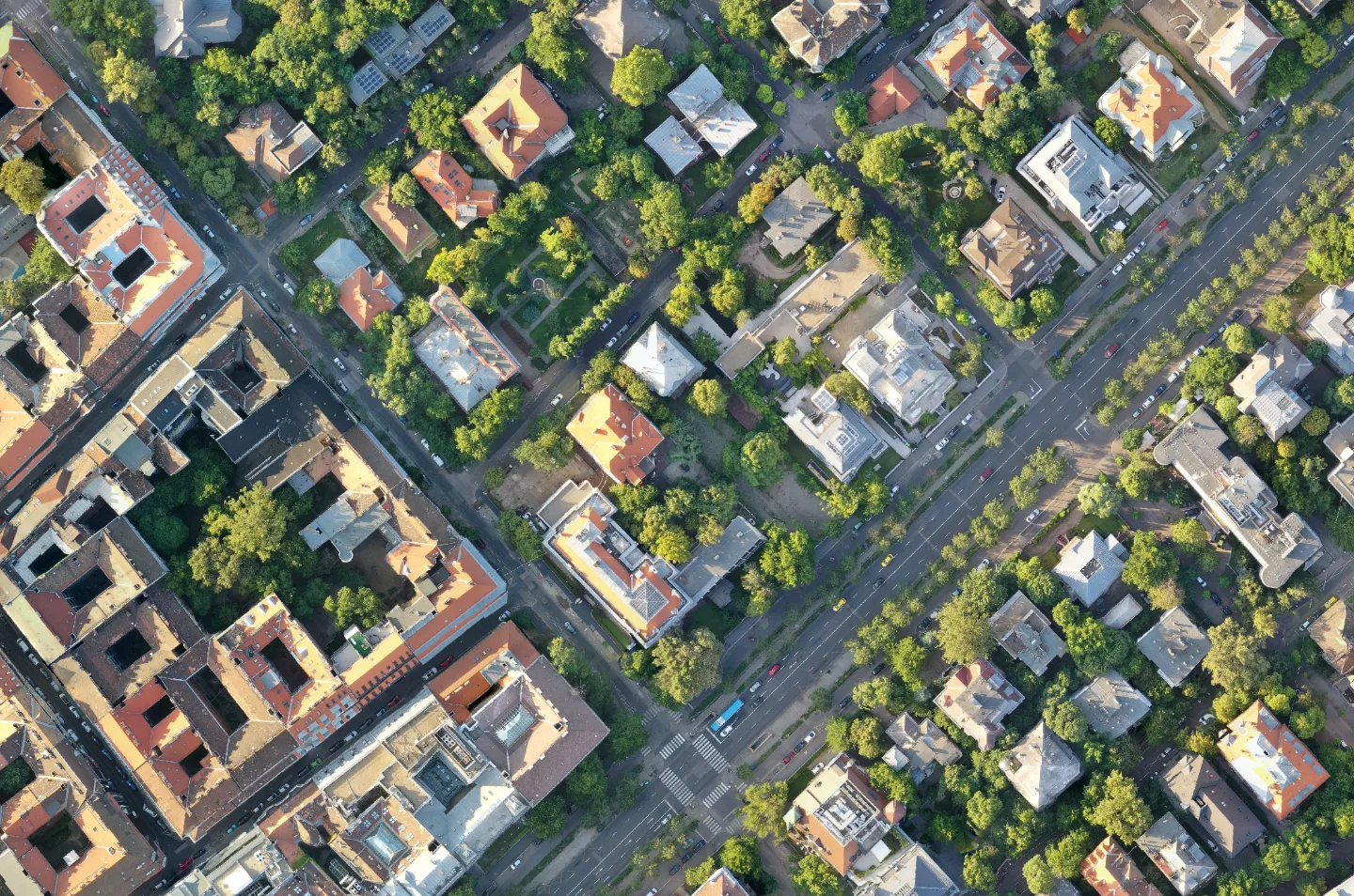 Orthomosaic of a drone survey area in the MapperTool viewer